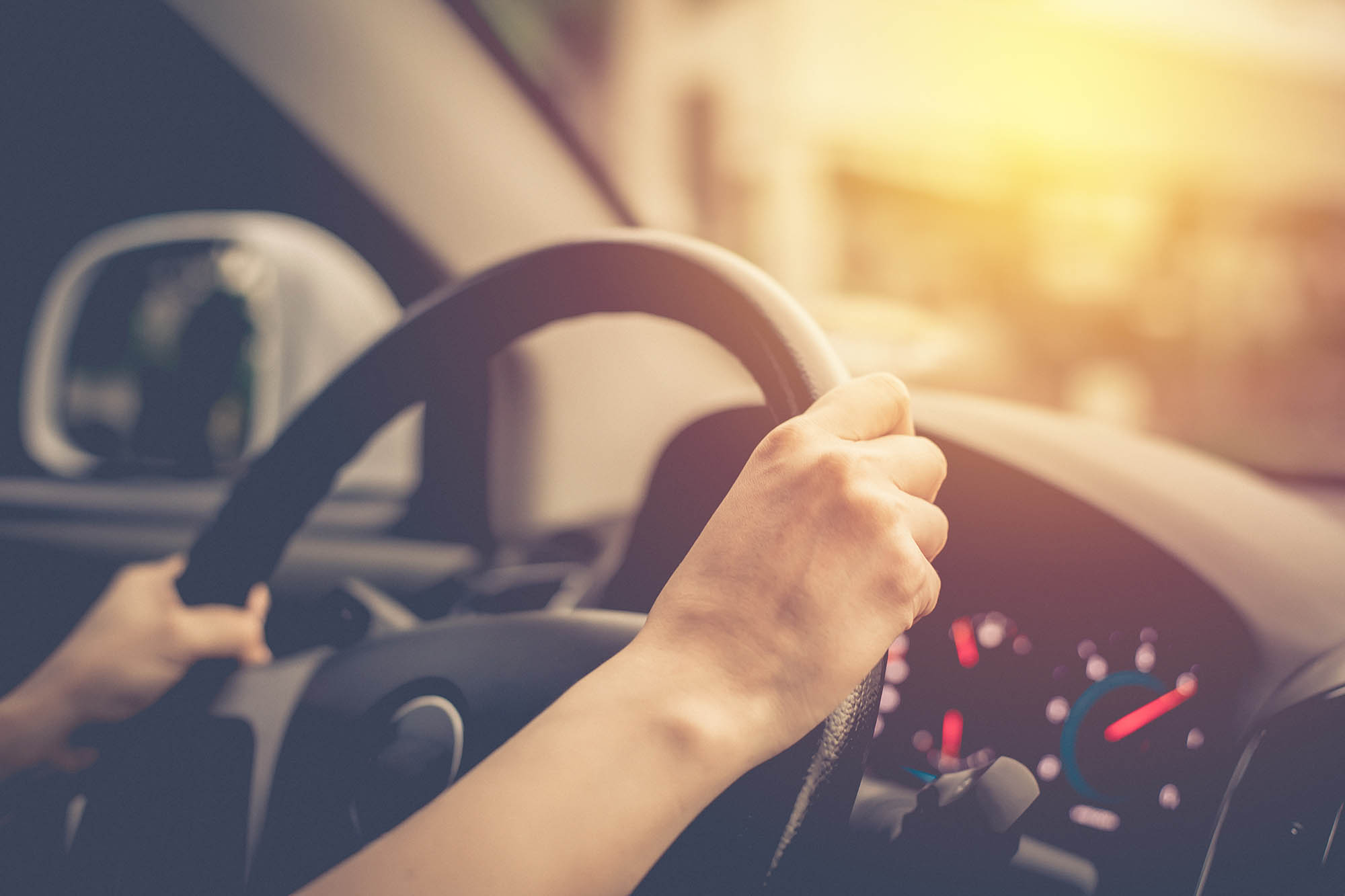 Rijbewijskeuring kaaphoorn